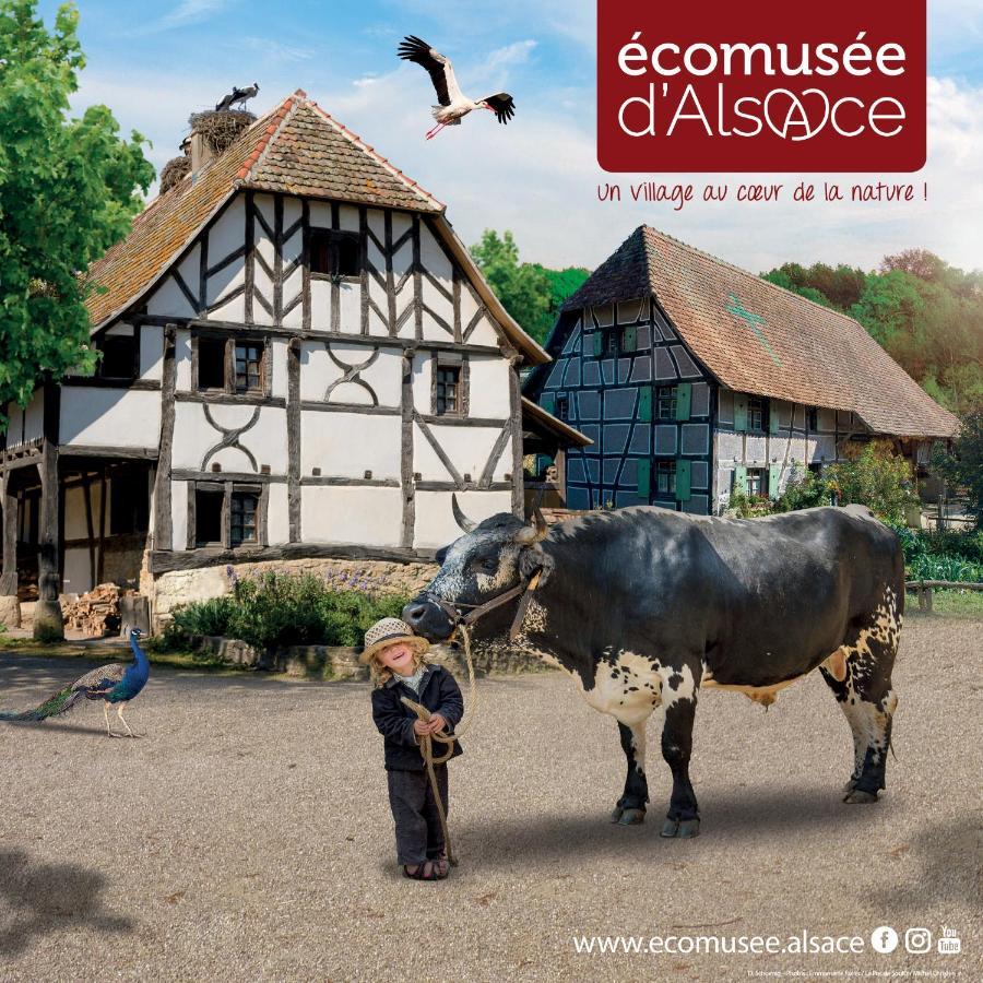 Le Panorama Du Murat Mulhouse Riedisheim 68 Haut-Rhin Alsace Saint-Louis Esterno foto