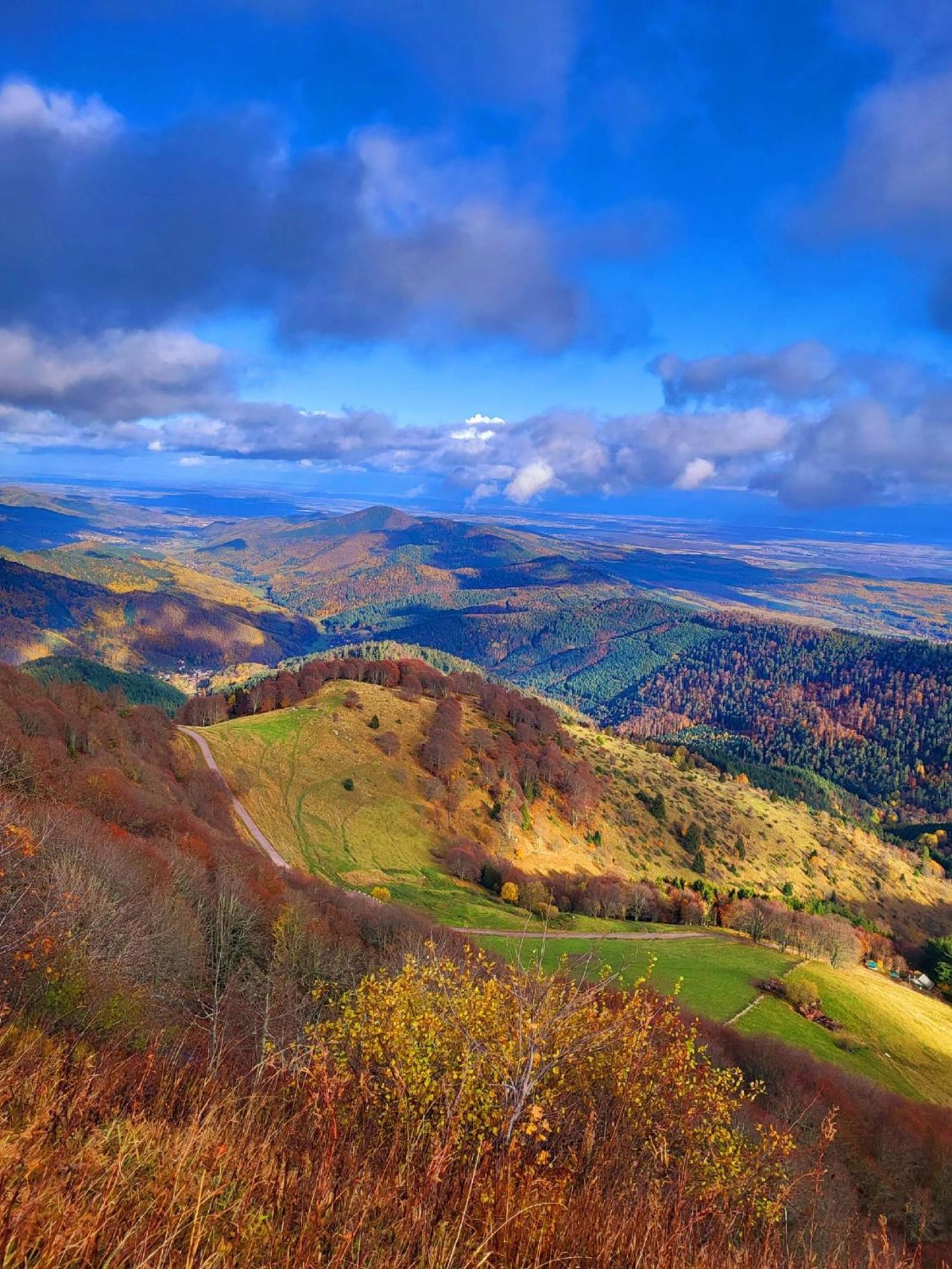 Le Panorama Du Murat Mulhouse Riedisheim 68 Haut-Rhin Alsace Saint-Louis Esterno foto