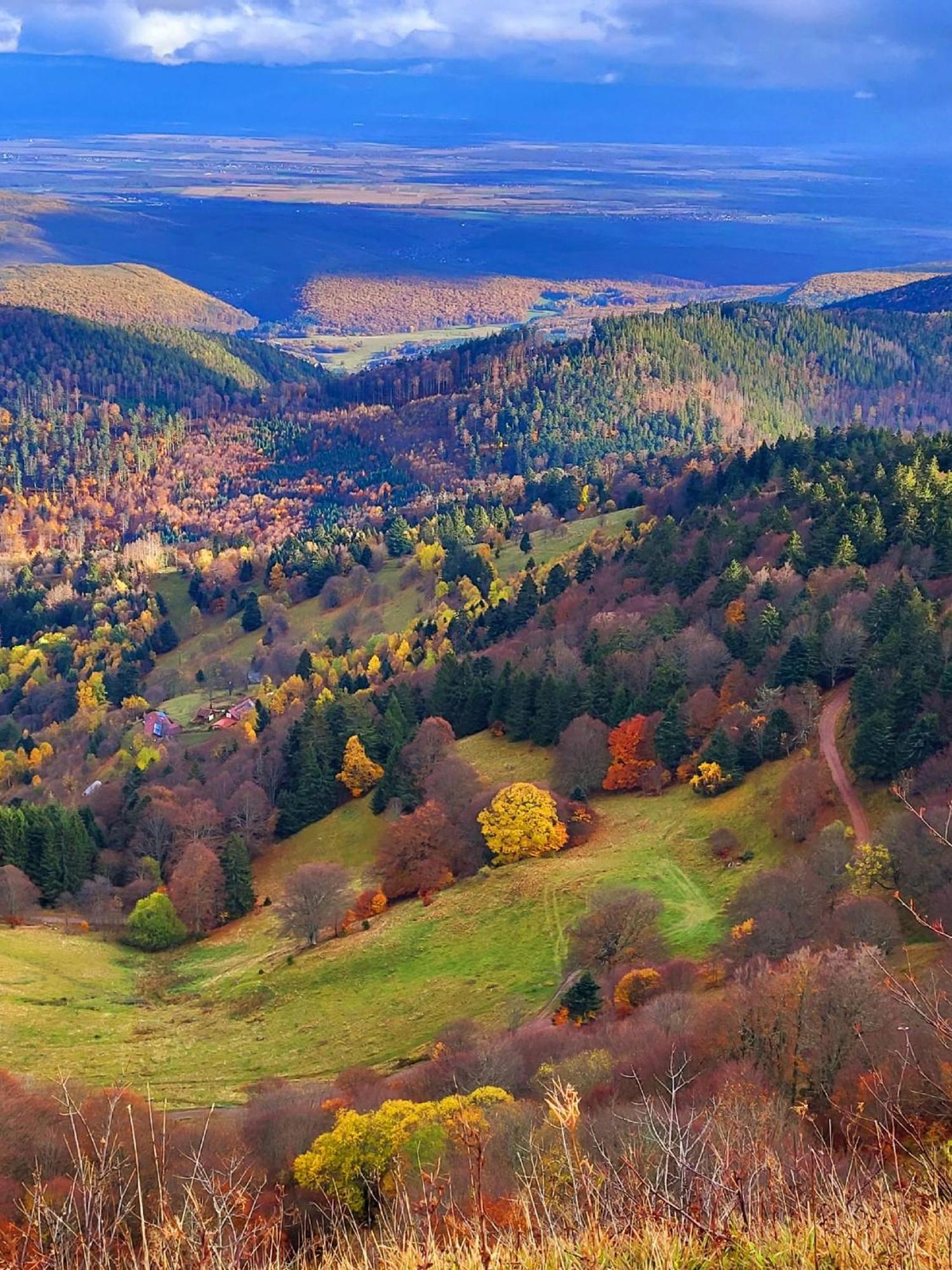 Le Panorama Du Murat Mulhouse Riedisheim 68 Haut-Rhin Alsace Saint-Louis Esterno foto